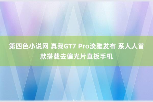 第四色小说网 真我GT7 Pro淡雅发布 系人人首款搭载去偏光片直板手机