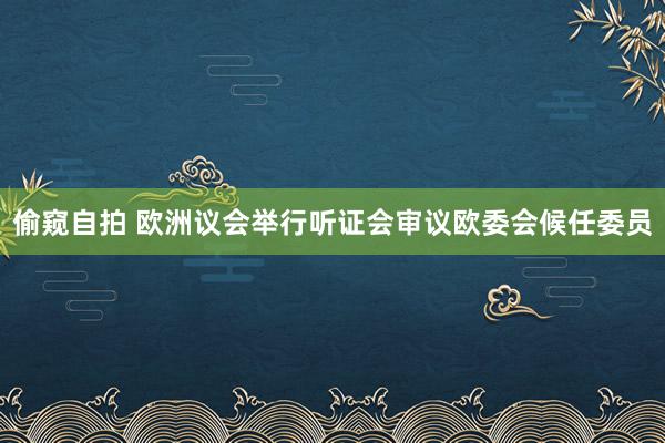 偷窥自拍 欧洲议会举行听证会审议欧委会候任委员