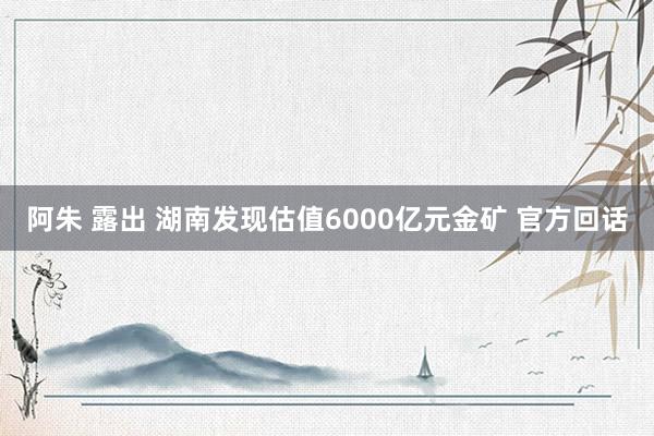 阿朱 露出 湖南发现估值6000亿元金矿 官方回话