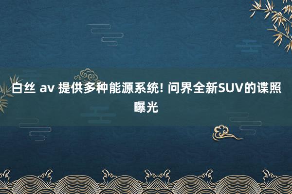 白丝 av 提供多种能源系统! 问界全新SUV的谍照曝光