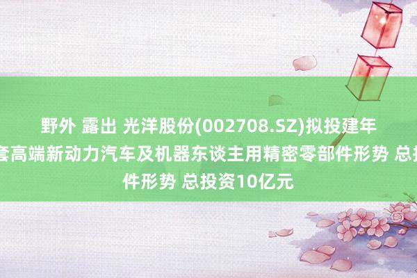 野外 露出 光洋股份(002708.SZ)拟投建年产6000万套高端新动力汽车及机器东谈主用精密零部件形势 总投资10亿元