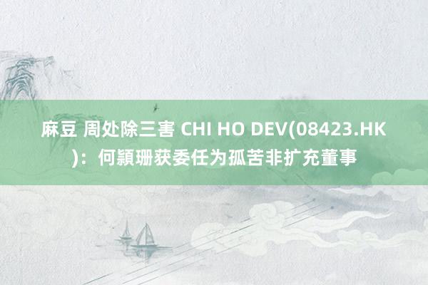 麻豆 周处除三害 CHI HO DEV(08423.HK)：何頴珊获委任为孤苦非扩充董事