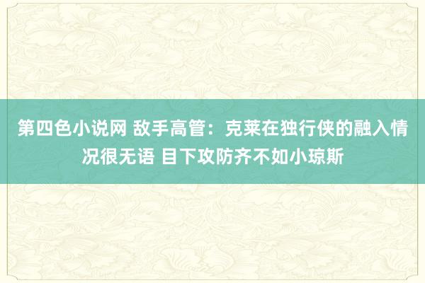 第四色小说网 敌手高管：克莱在独行侠的融入情况很无语 目下攻防齐不如小琼斯