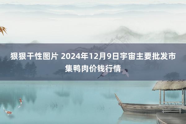 狠狠干性图片 2024年12月9日宇宙主要批发市集鸭肉价钱行情