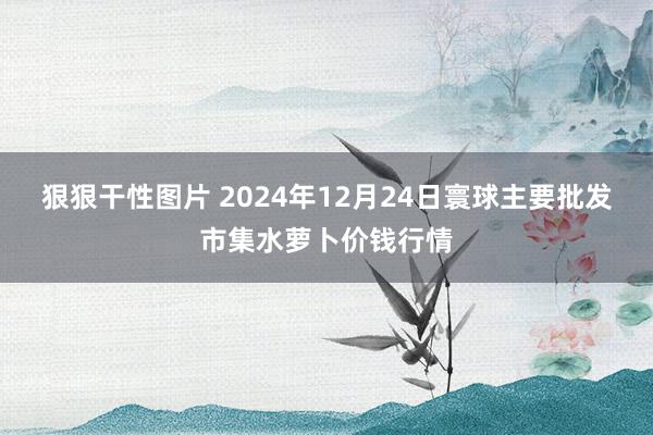 狠狠干性图片 2024年12月24日寰球主要批发市集水萝卜价钱行情