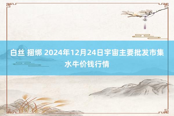 白丝 捆绑 2024年12月24日宇宙主要批发市集水牛价钱行情