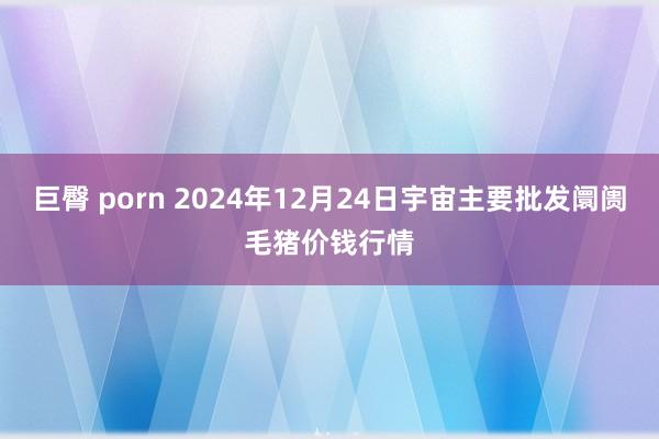 巨臀 porn 2024年12月24日宇宙主要批发阛阓毛猪价钱行情