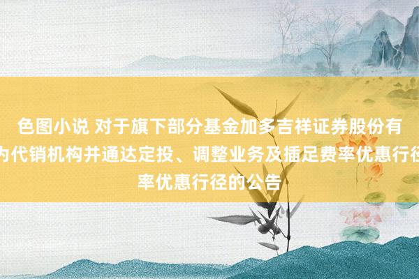 色图小说 对于旗下部分基金加多吉祥证券股份有限公司为代销机构并通达定投、调整业务及插足费率优惠行径的公告