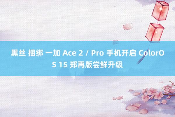 黑丝 捆绑 一加 Ace 2 / Pro 手机开启 ColorOS 15 郑再版尝鲜升级