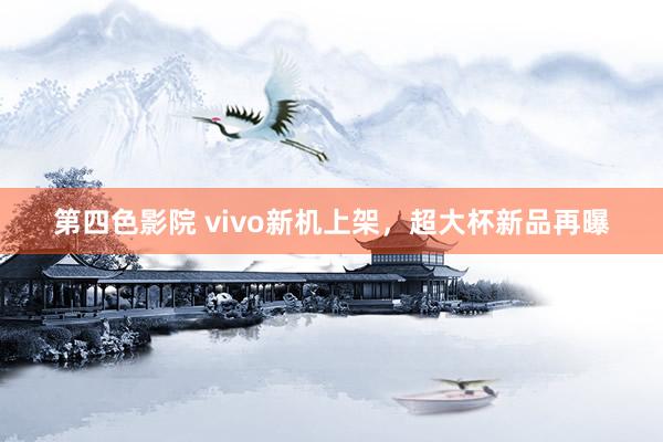 第四色影院 vivo新机上架，超大杯新品再曝