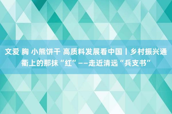 文爱 胸 小熊饼干 高质料发展看中国丨乡村振兴通衢上的那抹“红”——走近清远“兵支书”