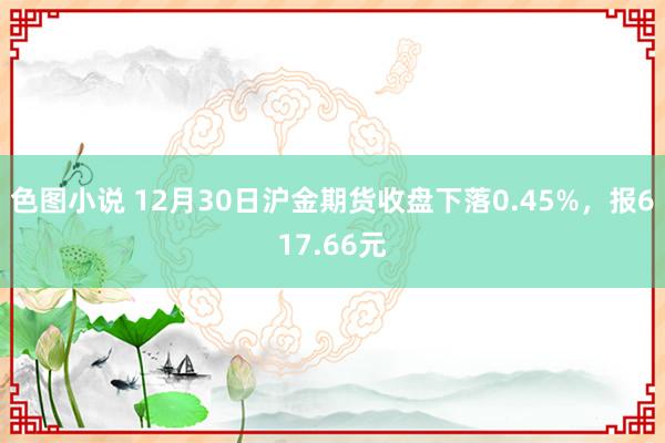 色图小说 12月30日沪金期货收盘下落0.45%，报617.66元