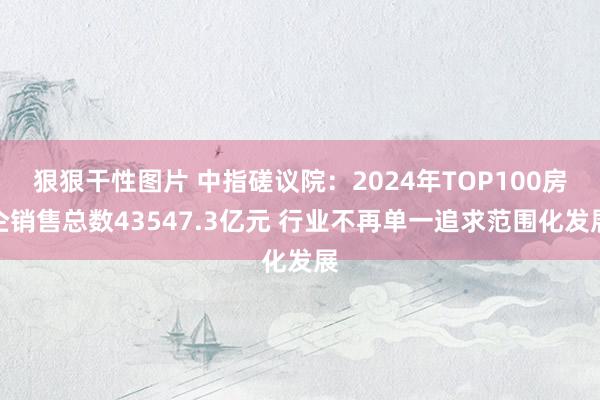 狠狠干性图片 中指磋议院：2024年TOP100房企销售总数43547.3亿元 行业不再单一追求范围化发展