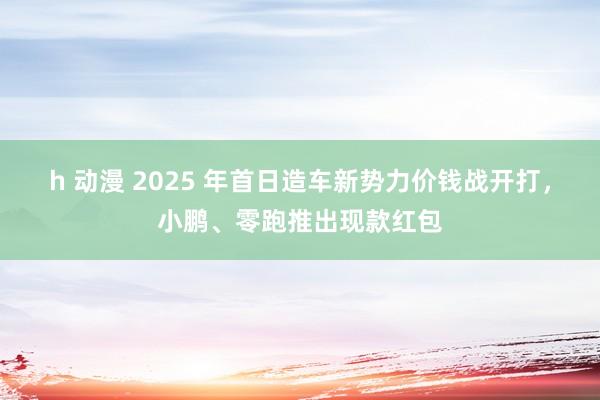 h 动漫 2025 年首日造车新势力价钱战开打，小鹏、零跑推出现款红包