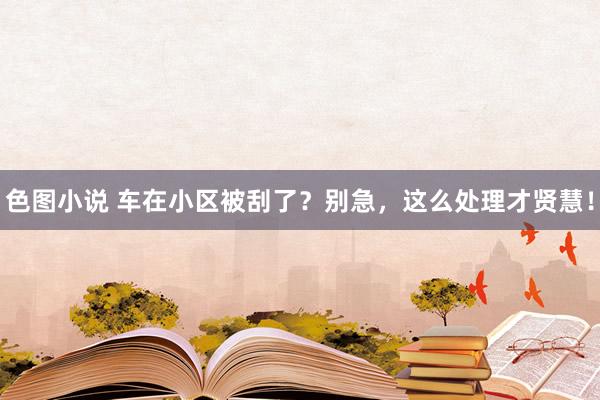 色图小说 车在小区被刮了？别急，这么处理才贤慧！