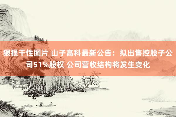 狠狠干性图片 山子高科最新公告：拟出售控股子公司51%股权 公司营收结构将发生变化