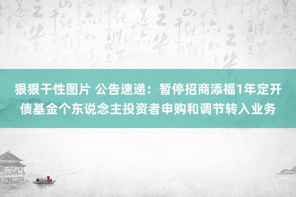 狠狠干性图片 公告速递：暂停招商添福1年定开债基金个东说念主投资者申购和调节转入业务