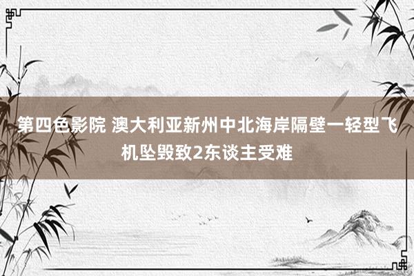 第四色影院 澳大利亚新州中北海岸隔壁一轻型飞机坠毁致2东谈主受难