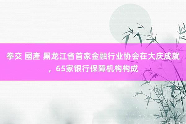 拳交 國產 黑龙江省首家金融行业协会在大庆成就，65家银行保障机构构成