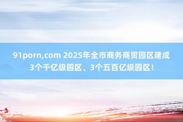 91porn，com 2025年全市商务商贸园区建成3个千亿级园区、3个五百亿级园区！