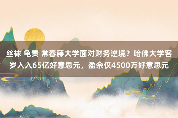 丝袜 龟责 常春藤大学面对财务逆境？哈佛大学客岁入入65亿好意思元，盈余仅4500万好意思元