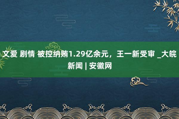 文爱 剧情 被控纳贿1.29亿余元，王一新受审 _大皖新闻 | 安徽网